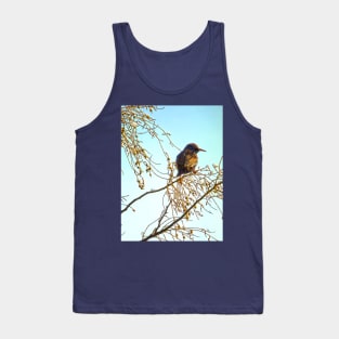 Wren on a Winter Branch Tank Top